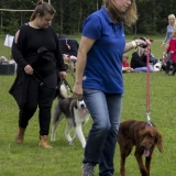 _MG_0906