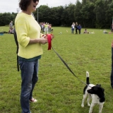 _MG_1082