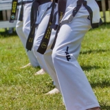 DSC08954
