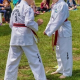 DSC09018