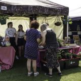 DSC02060-Edit