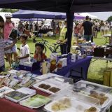DSC03295-Edit